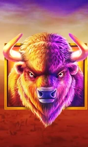 Buffalo King
